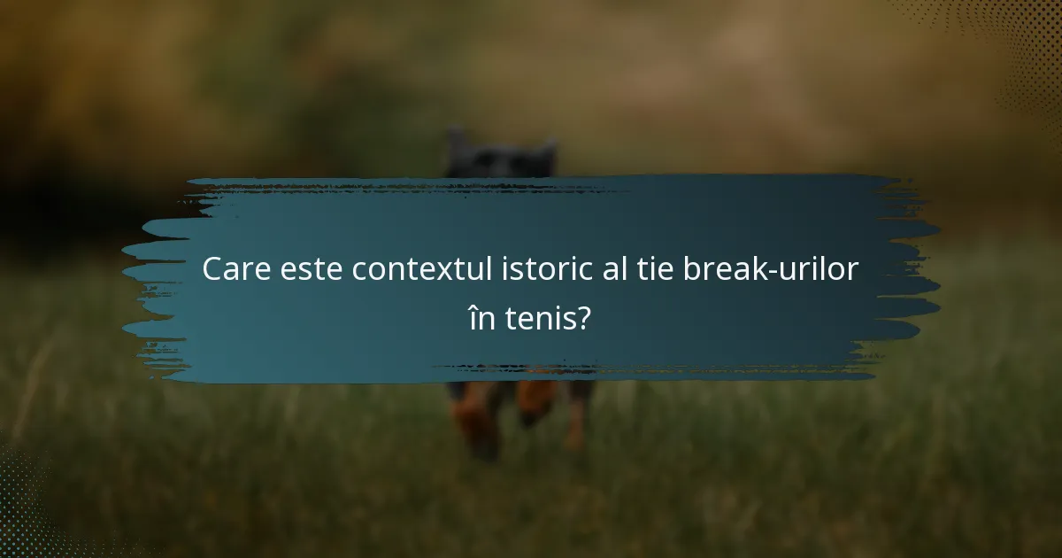 Care este contextul istoric al tie break-urilor în tenis?