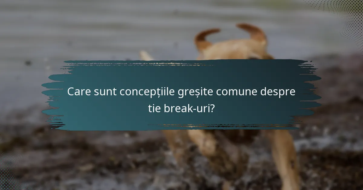 Care sunt concepțiile greșite comune despre tie break-uri?