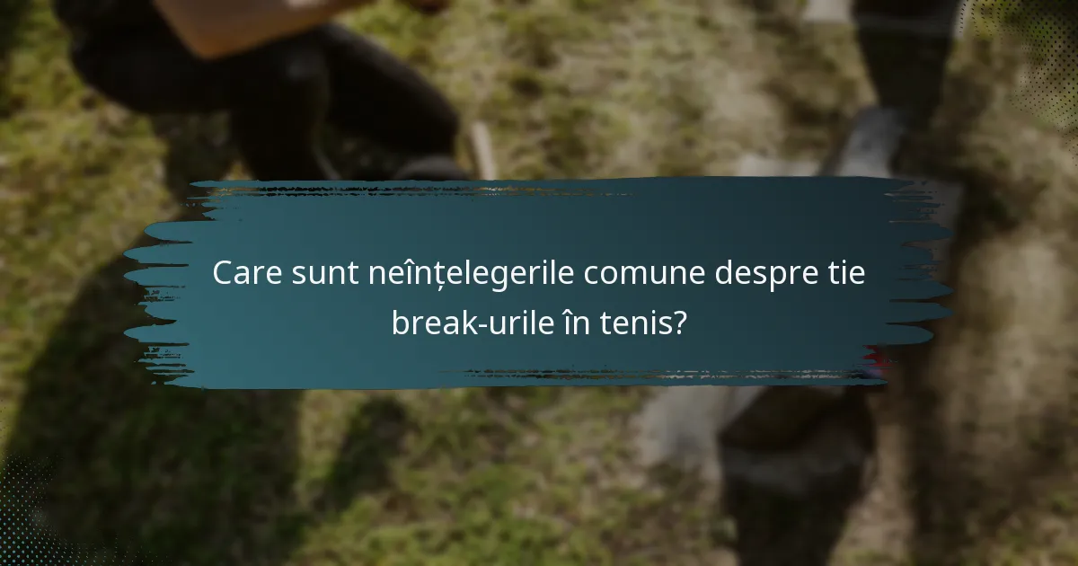 Care sunt neînțelegerile comune despre tie break-urile în tenis?