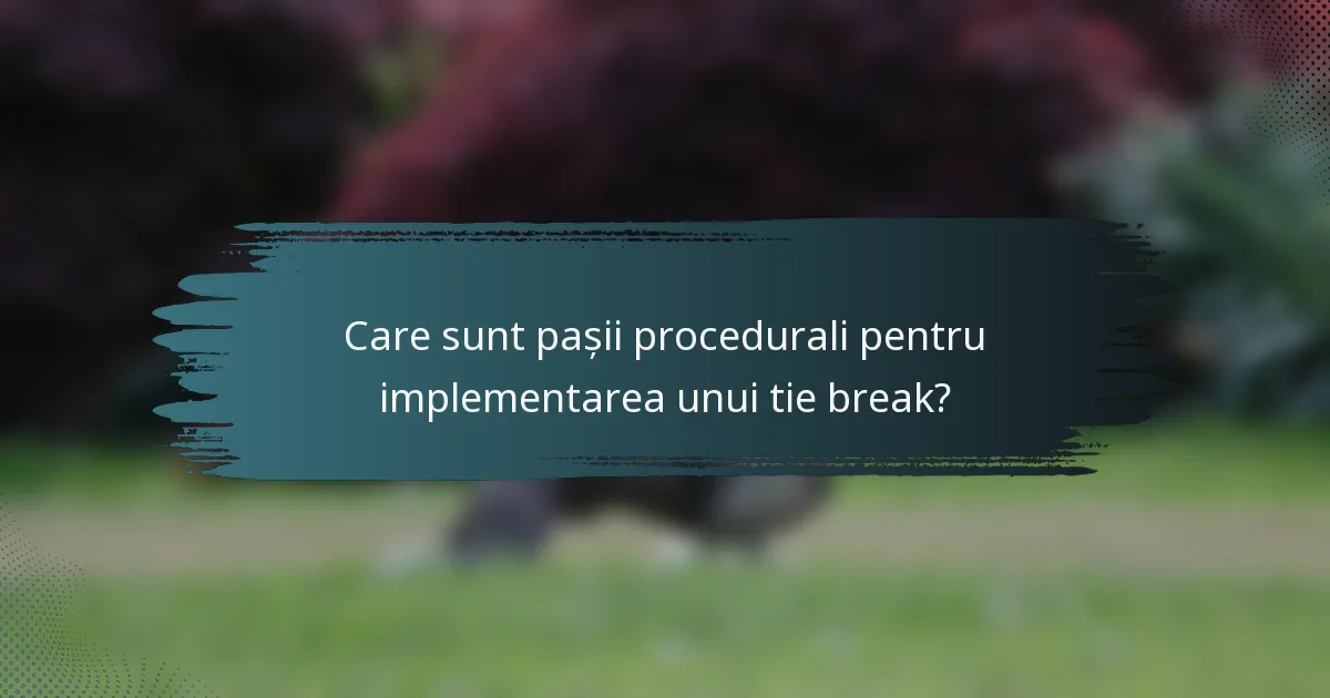Care sunt pașii procedurali pentru implementarea unui tie break?