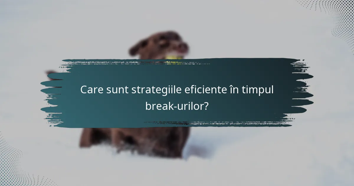 Care sunt strategiile eficiente în timpul break-urilor?