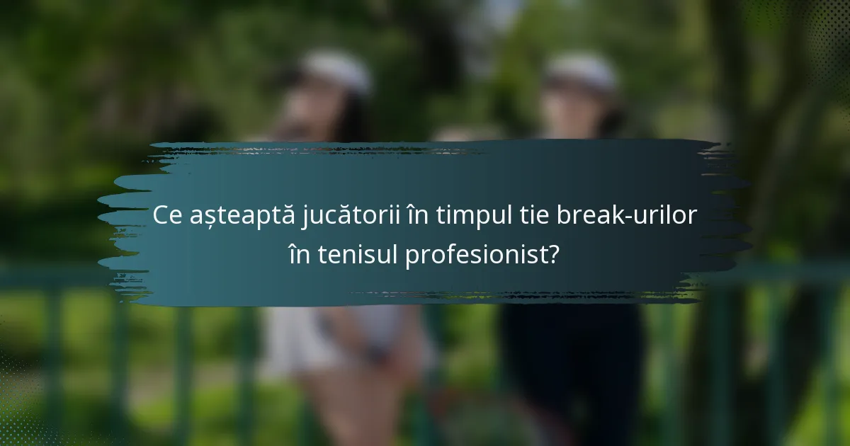Ce așteaptă jucătorii în timpul tie break-urilor în tenisul profesionist?