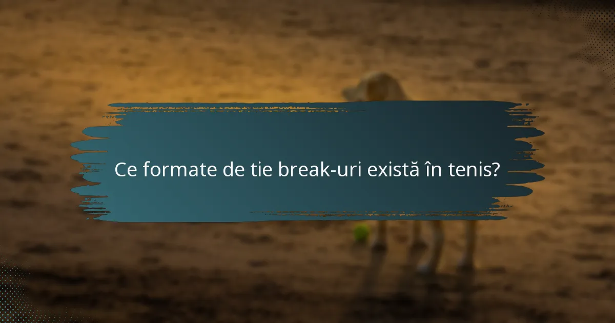 Ce formate de tie break-uri există în tenis?