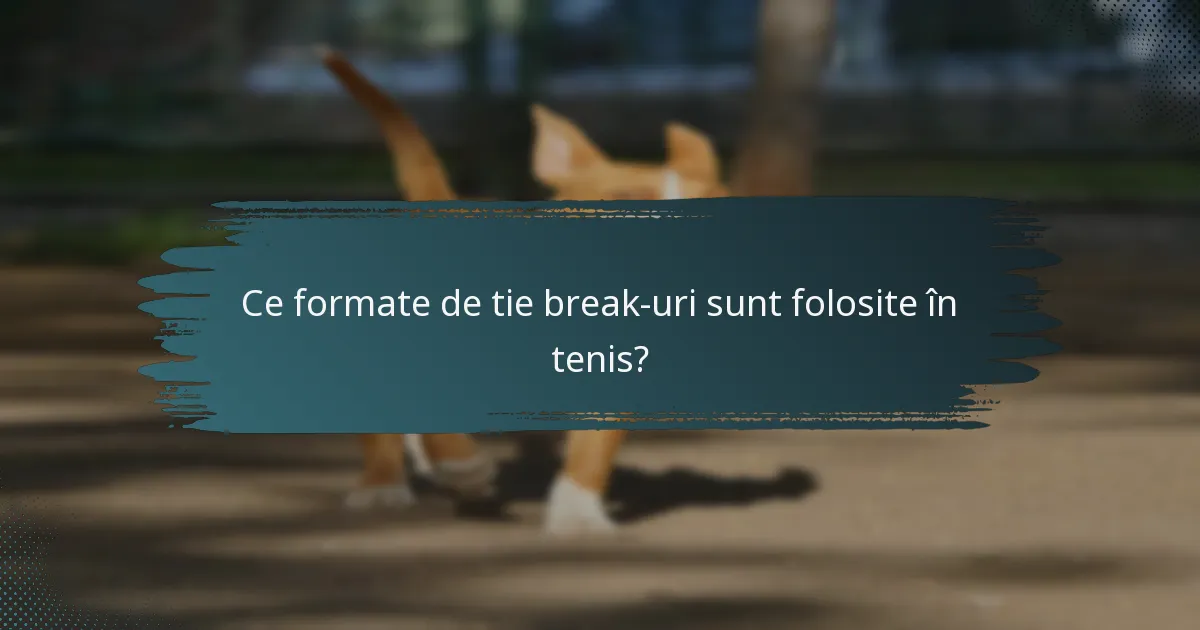 Ce formate de tie break-uri sunt folosite în tenis?