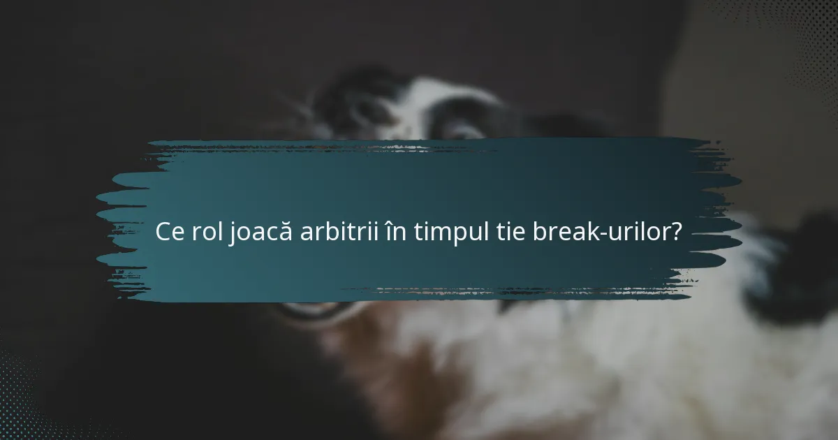 Ce rol joacă arbitrii în timpul tie break-urilor?