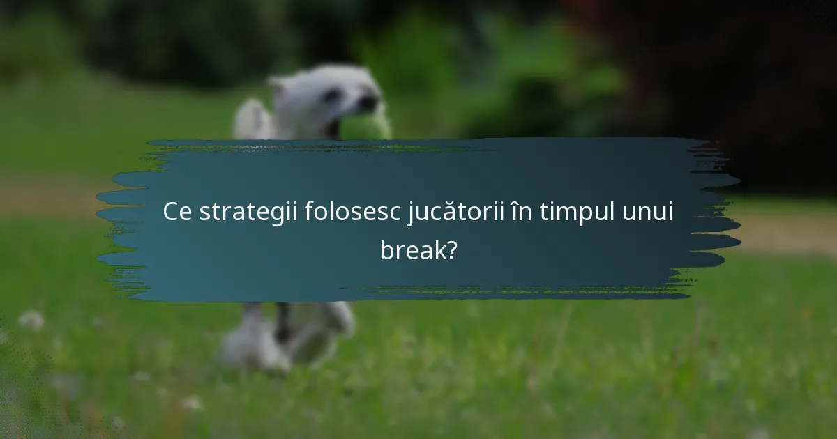 Ce strategii folosesc jucătorii în timpul unui break?
