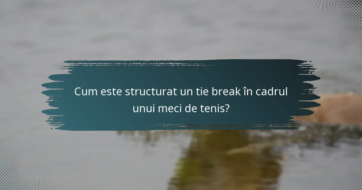 Cum este structurat un tie break în cadrul unui meci de tenis?
