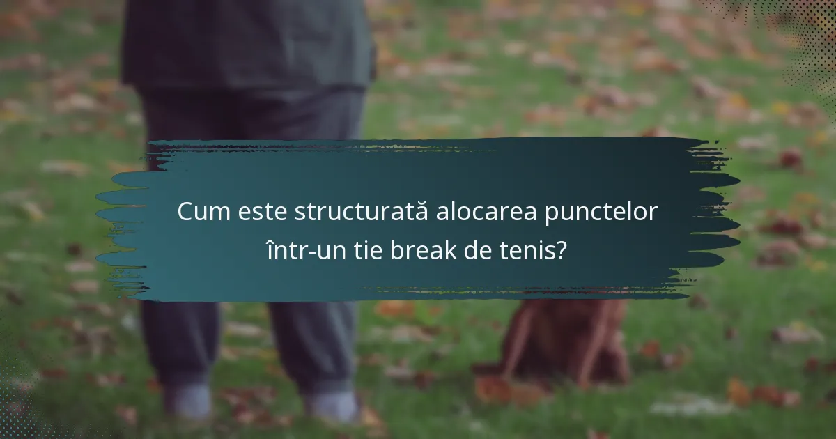 Cum este structurată alocarea punctelor într-un tie break de tenis?