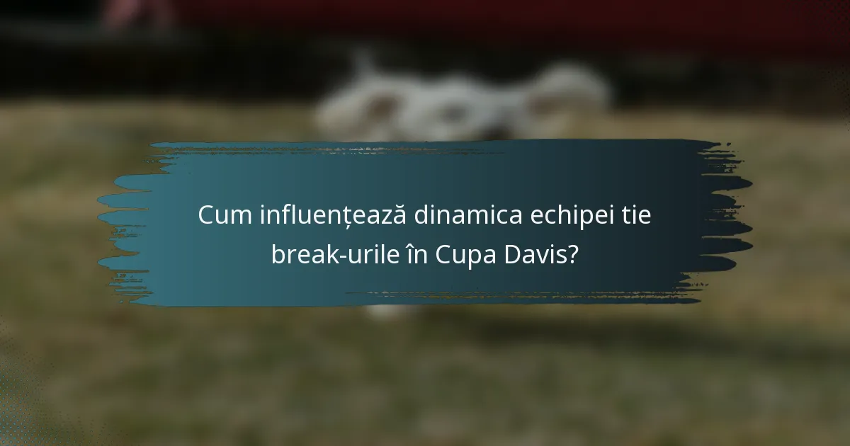 Cum influențează dinamica echipei tie break-urile în Cupa Davis?