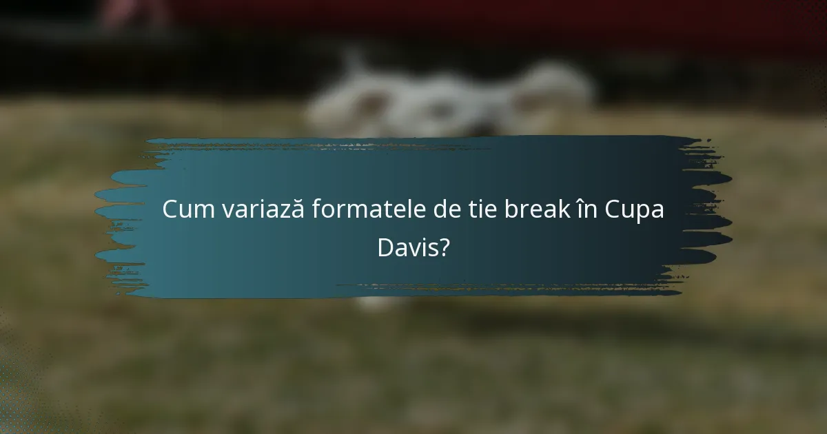Cum variază formatele de tie break în Cupa Davis?